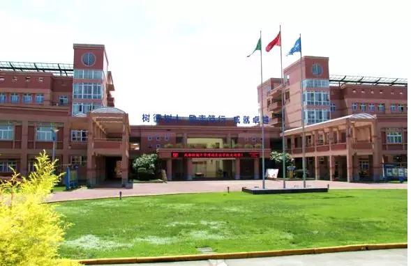 西川、双中实验、盐外…成都小升初11所高性价比私立学校，太值了