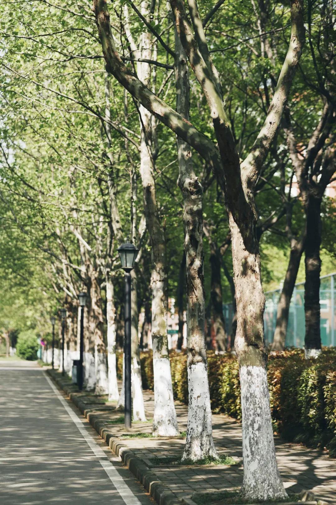 安徽新華學院是幾本?是什么性質學校(圖30)