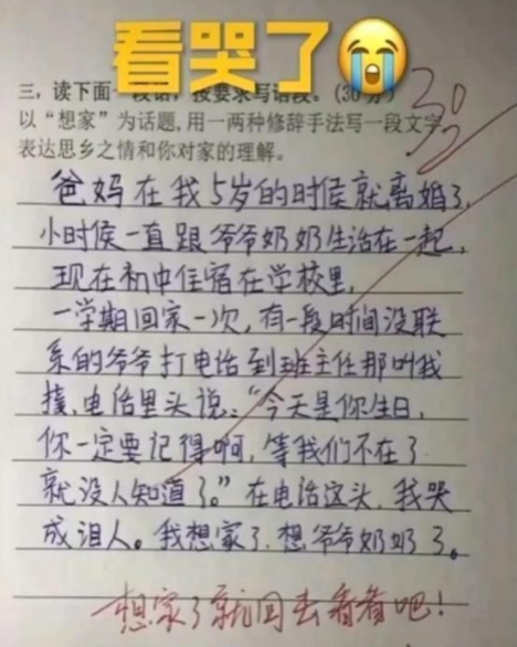 小學生“滿分作文”走紅，老師看完笑出眼淚，爸爸：家丑不可外揚