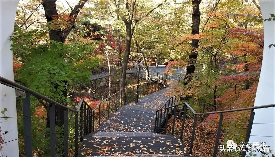 被誉为韩国最美校园，多部韩剧取景地，走进世界名校——庆熙大学