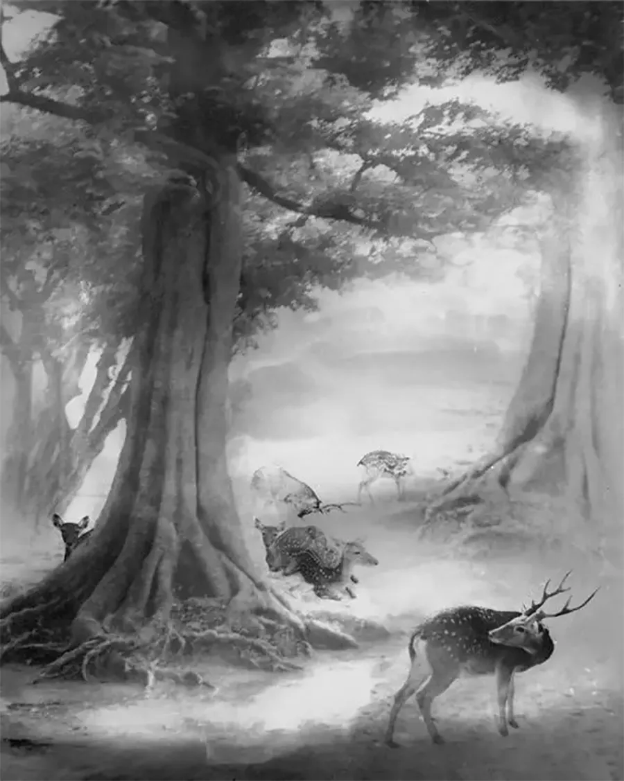 郎静山:用相机"画"中国山水画,作品在今天仍让人惊呼赞叹