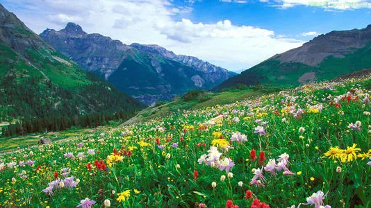 【朗读南明】别样诠释青春，汪国真的诗与远方