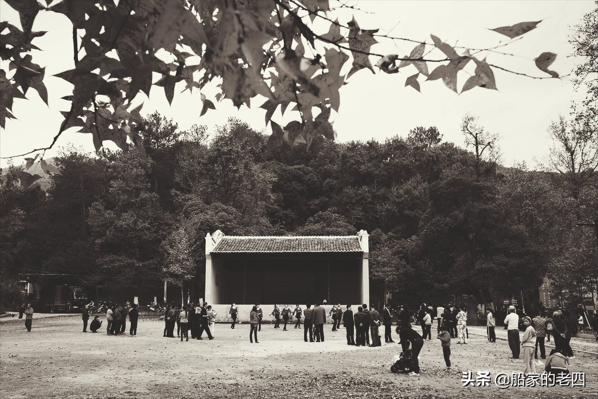 「晨读」张焕喜：此生最忆祖辈恩
