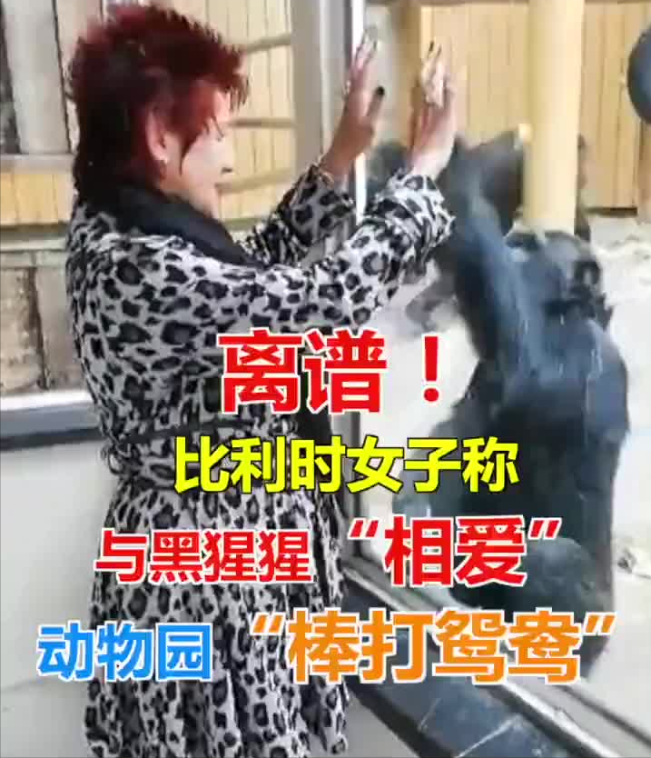 女子爱上黑猩猩，被禁止探望！人和动物之间真的会存在爱情吗？