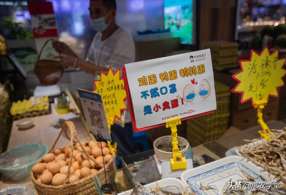 现在鸡蛋多少钱一斤？价格为何连连上涨？2021年鸡蛋行情走势预测