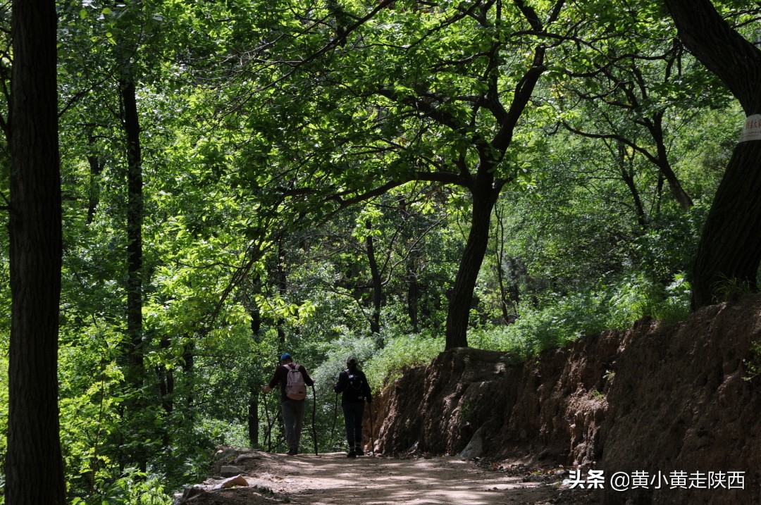 原来这便是秦岭72峪中的白石峪，藏在动物园后面，自驾车能开进山