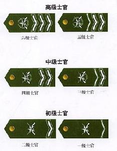 志愿兵待遇,10年以上志愿兵待遇