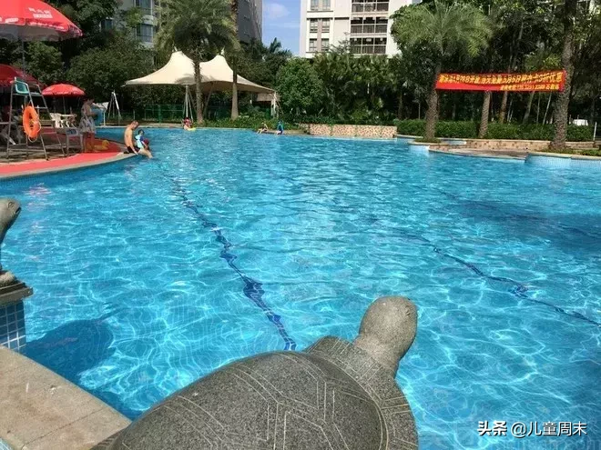 深圳50多家游泳培训班大盘点！泳池、教练、课程、价格…哪家强？