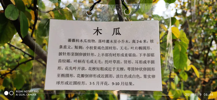 陪你一起看湖北省广水一中①——走进植物王国