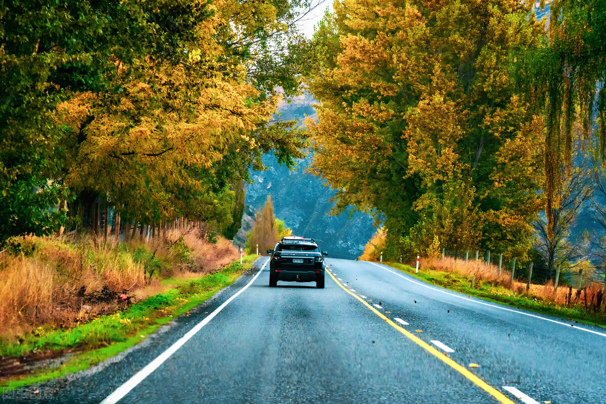 百利天下留学（写好留学文书有几个关键注意事项）