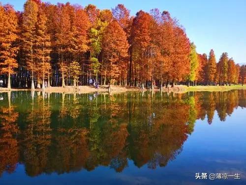 浙江十大秋季旅游景点，你去过几个？