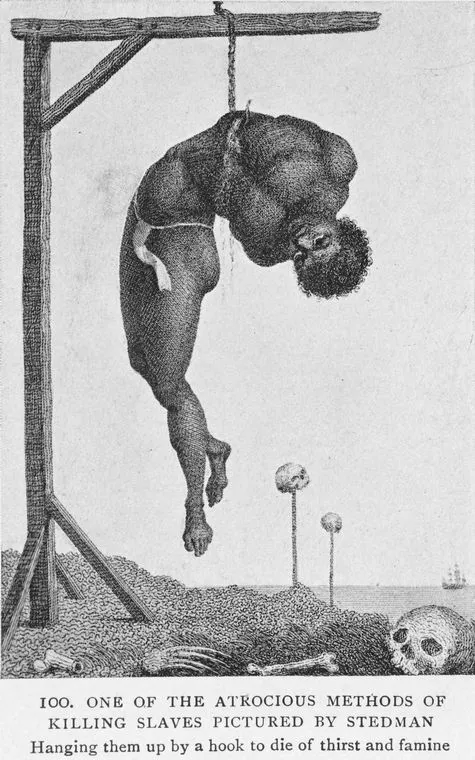 美国往事：棉花、奴隶与世界经济