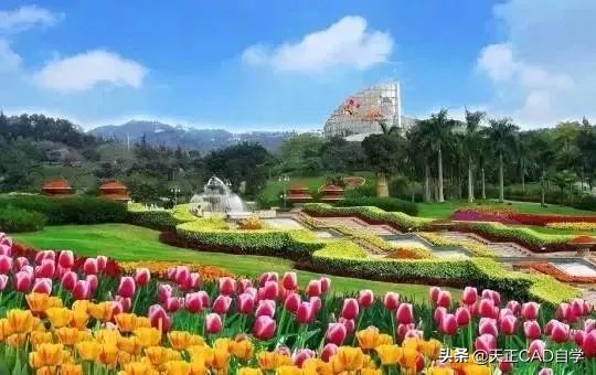 园林景观花坛设计技巧总结,看完涨知识了