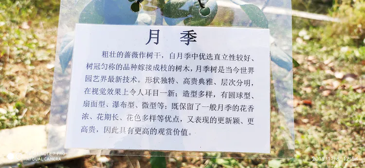 陪你一起看湖北省广水一中①——走进植物王国