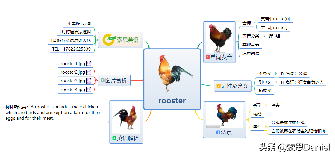 roosterfighter图片