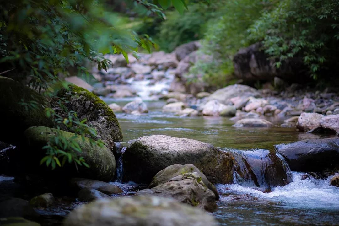 当天来回!1.5h逃进山里避暑、踩水、吃美食,趁没大火赶紧去