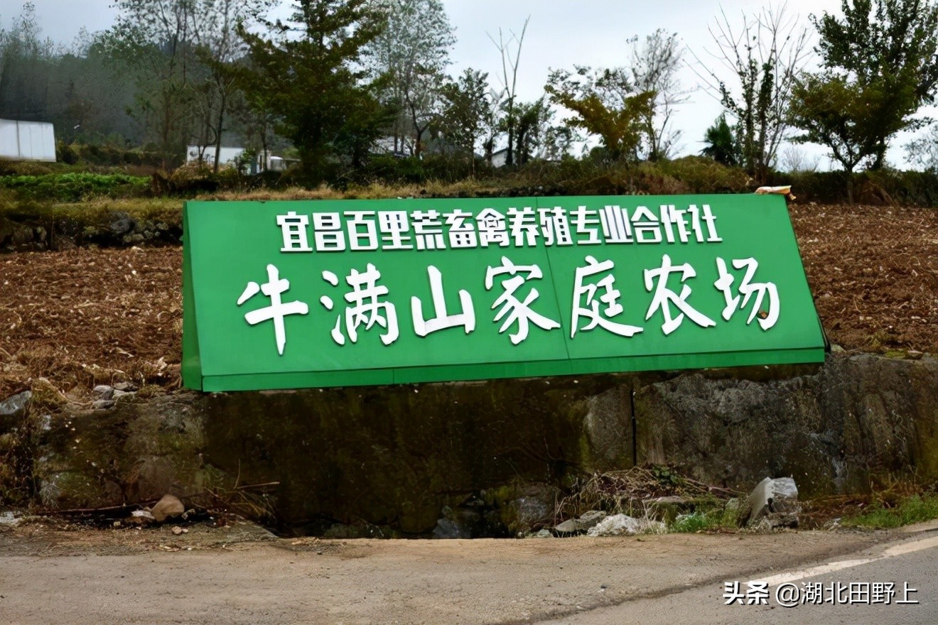 田野上團(tuán)隊(duì)下鄉(xiāng)小記丨走進(jìn)省級美麗鄉(xiāng)村示范村—分鄉(xiāng)鎮(zhèn)百里荒村