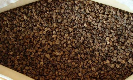 后悔买了乳胶枕！这6种枕头到底哪种好？至少3种你没用过