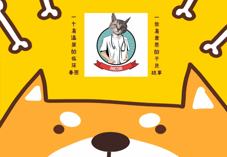 辟谣：犬疥螨病很简单，其实简单中也有很多小细节要注意