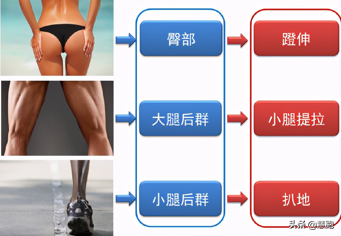 跑步不练腿多跑也白费：一堂高度针对跑者下肢专项力量的训练课