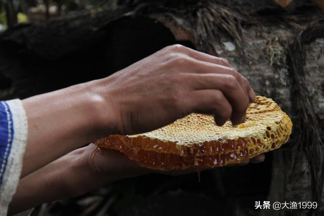 寻找最天然蜂蜜：到云南维西傈僳山寨品尝百花野蜂蜜