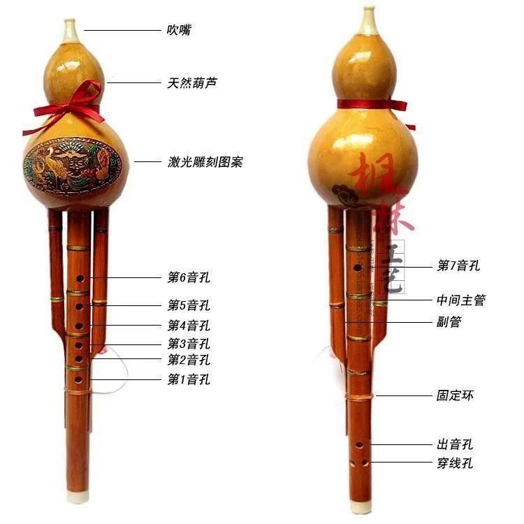 有些乐器甚至不用学就可以入门，十大易学乐器有这些