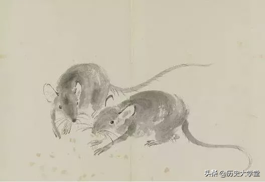 鼠年说鼠：长期背负“骂名”的老鼠，被人称赞的一面却鲜为人知