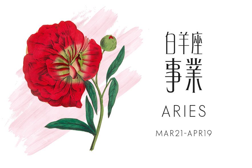 白羊座2019星座运程预测+爱情锦囊