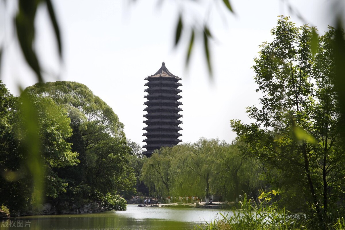 江苏新高考的第一年，文科高出理科59分！这样的志愿到底该怎么填