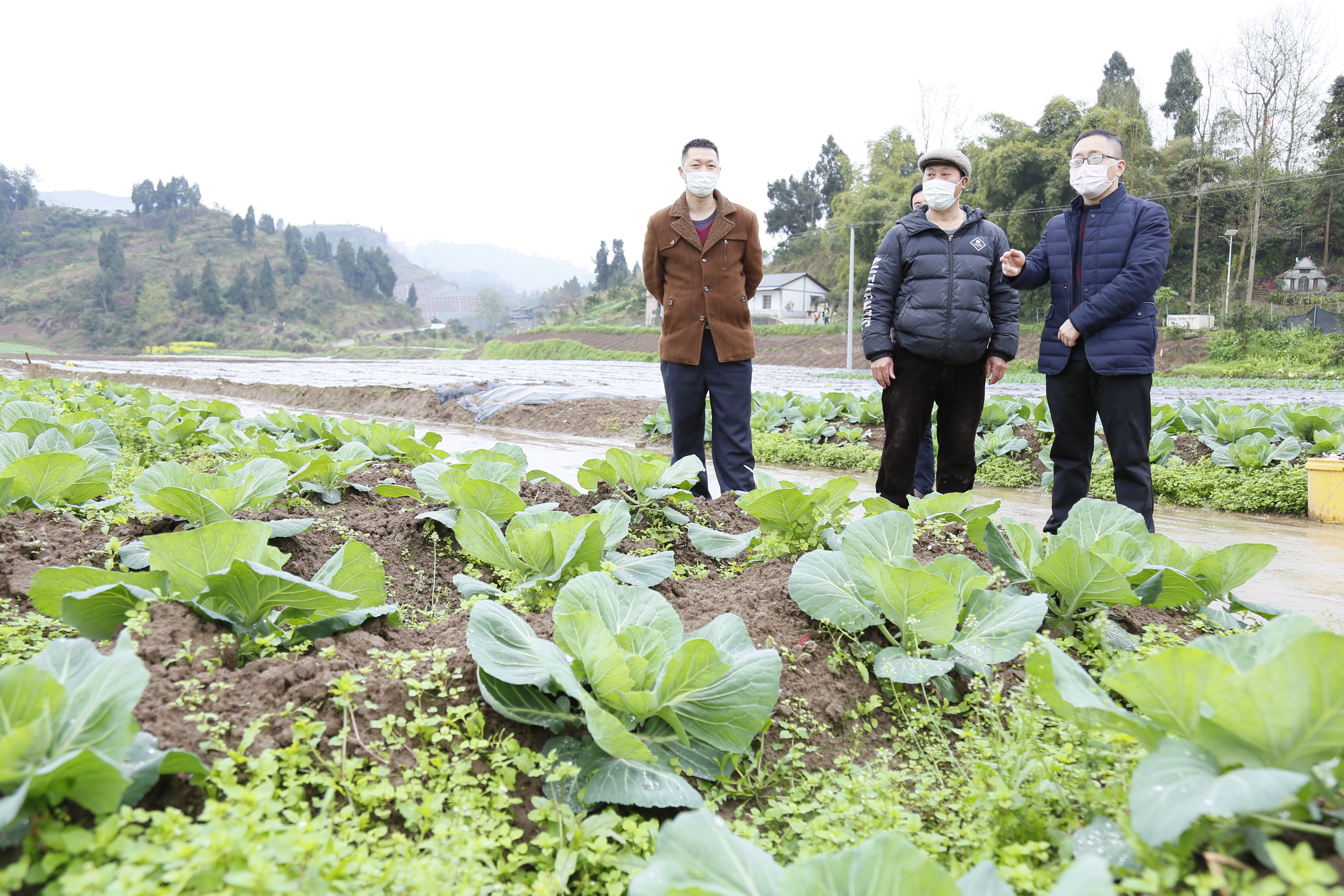 战"疫"脱贫两不误—广安市委政法委派驻邻水县御临镇文武村第一书记