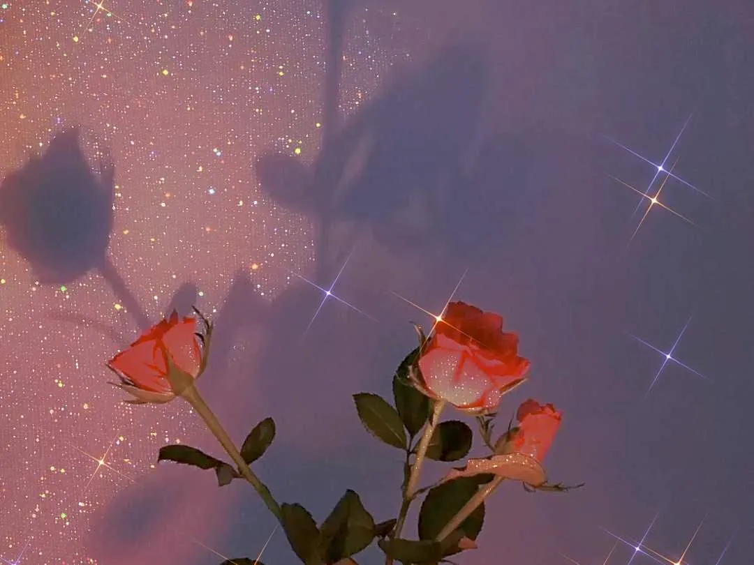 高考失利了怎么办|高考那年，我也曾是一名失败者。