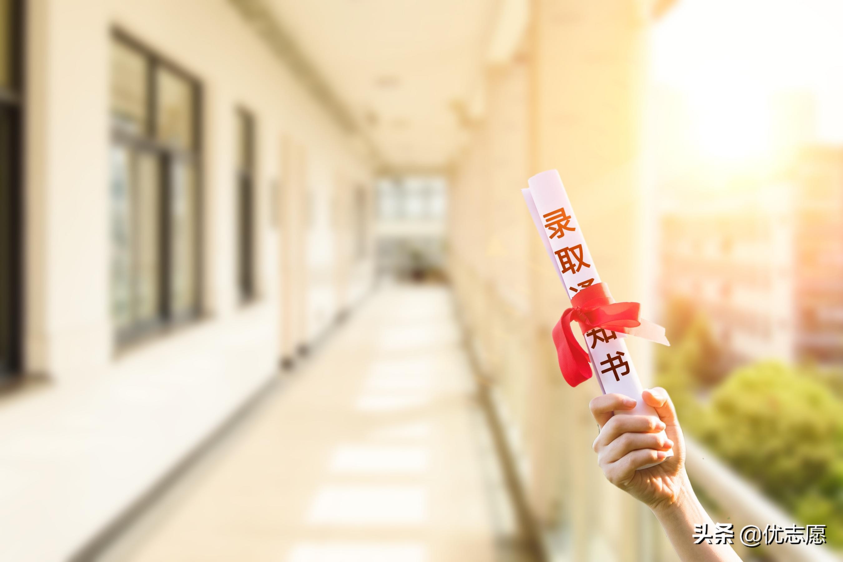 2021年山东本科层次院校的专科专业热度较高，多所北京专科受追捧