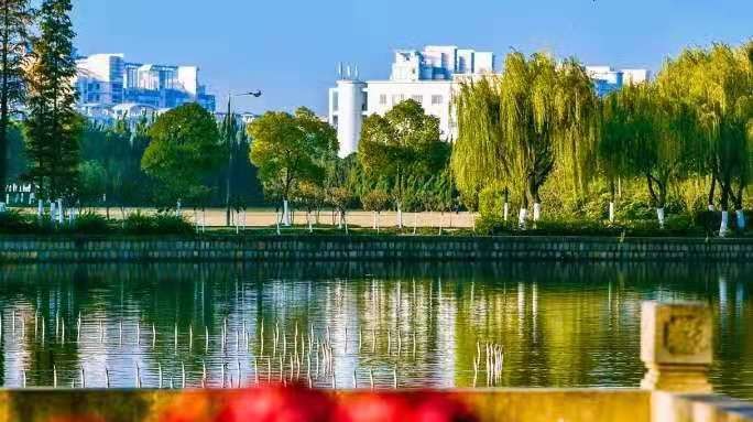 登上Science！上海科研团队成果：有望解决这一重大科学难题！