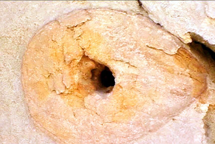 一神秘洞穴惊现15万年前