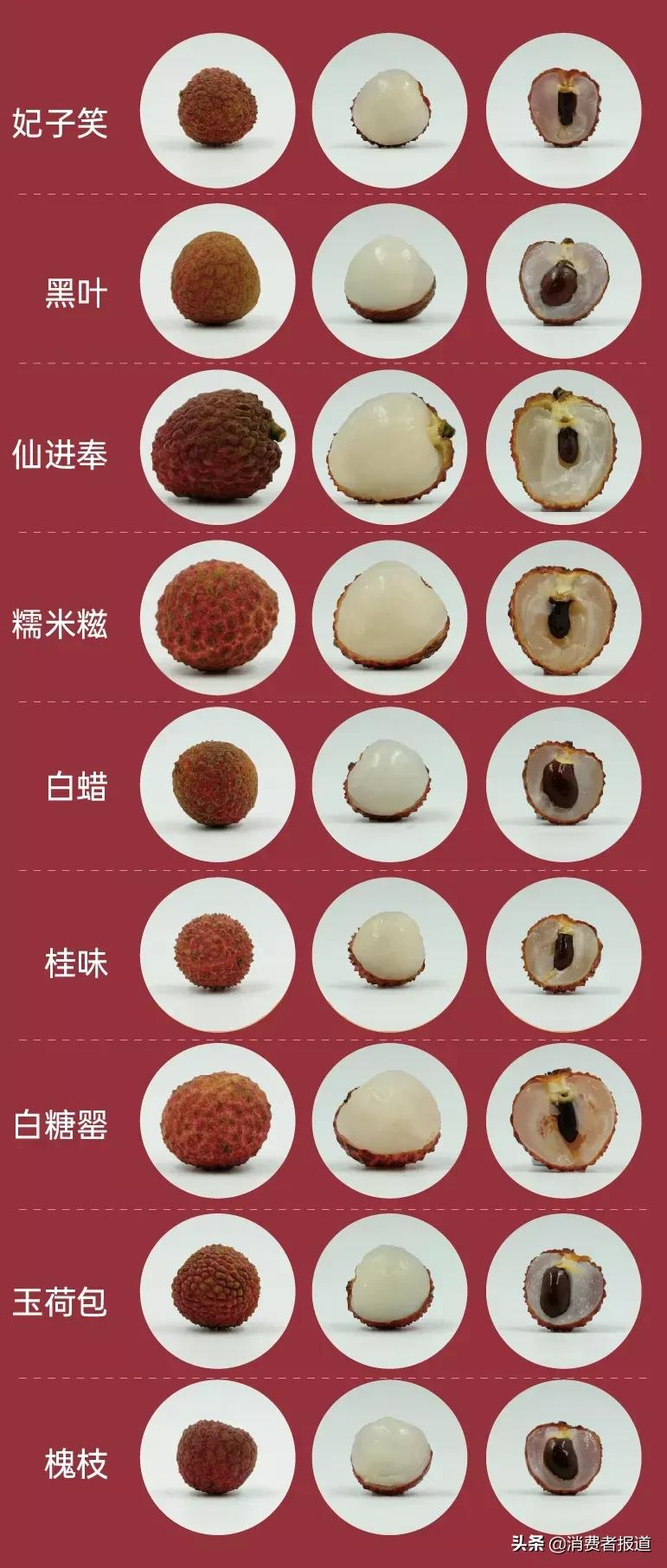 9款荔枝对比测评：玉荷包、黑叶果核大；仙进奉、白糖罂受欢迎
