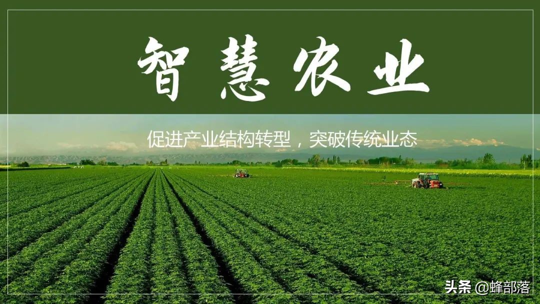 “十三五”農(nóng)機(jī)補(bǔ)貼958億，貼息貸款最高300萬(wàn)，哪些人得到實(shí)惠？