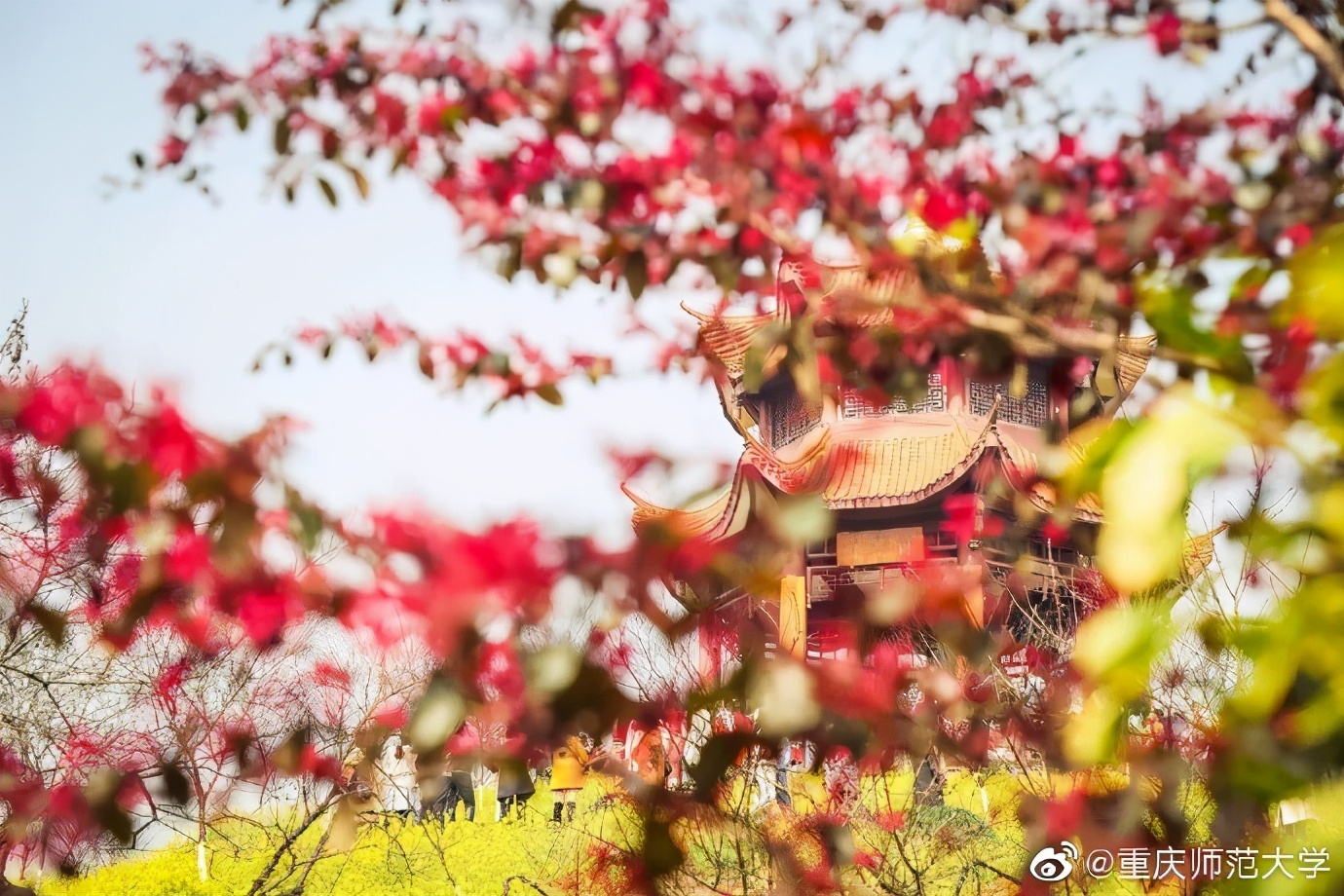 国家支持、人才缺口大！这些“热门”文科专业一定要了解！