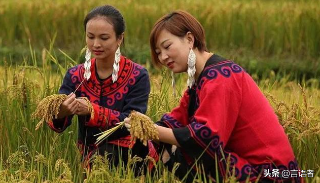 彝族的传统节日是什么,藏族的传统节日是什么