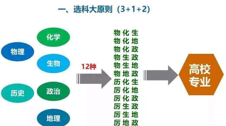 新高考赋分下“最佳首选”组合，难度小易拿高分，2022考生要有数