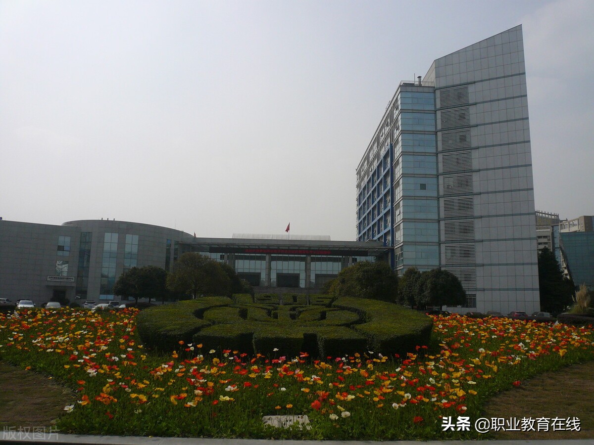 成都一城独大，川大是否一校独大？看看四川省的大学排名