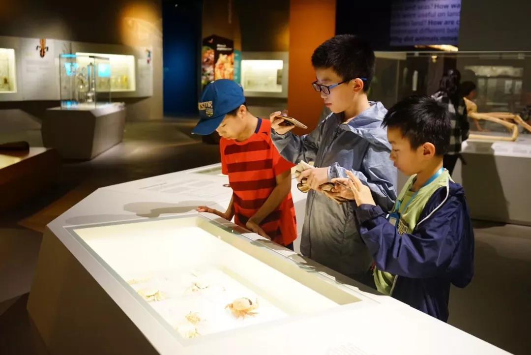 这个国家，让孩子的英语水平和母语一样厉害！