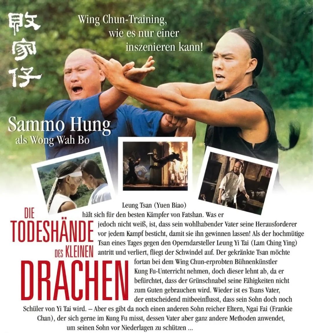 最好的咏春功夫电影《败家仔》,揭示了怎样的武学真相?