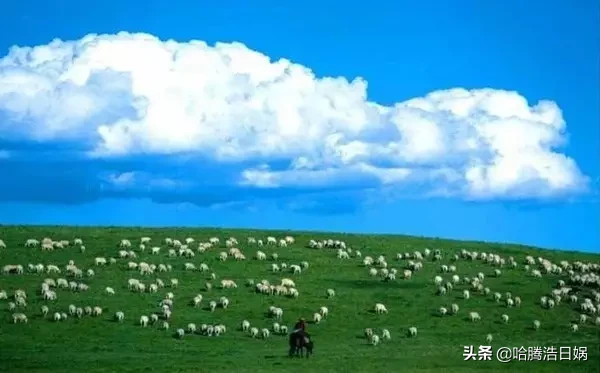 内蒙古十二盟市车牌号首字母含义你知道么？