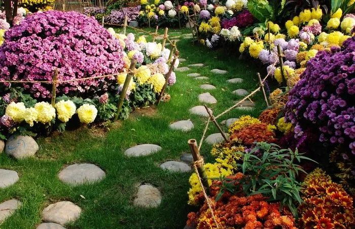 余生，想要一个院子，看花开花落