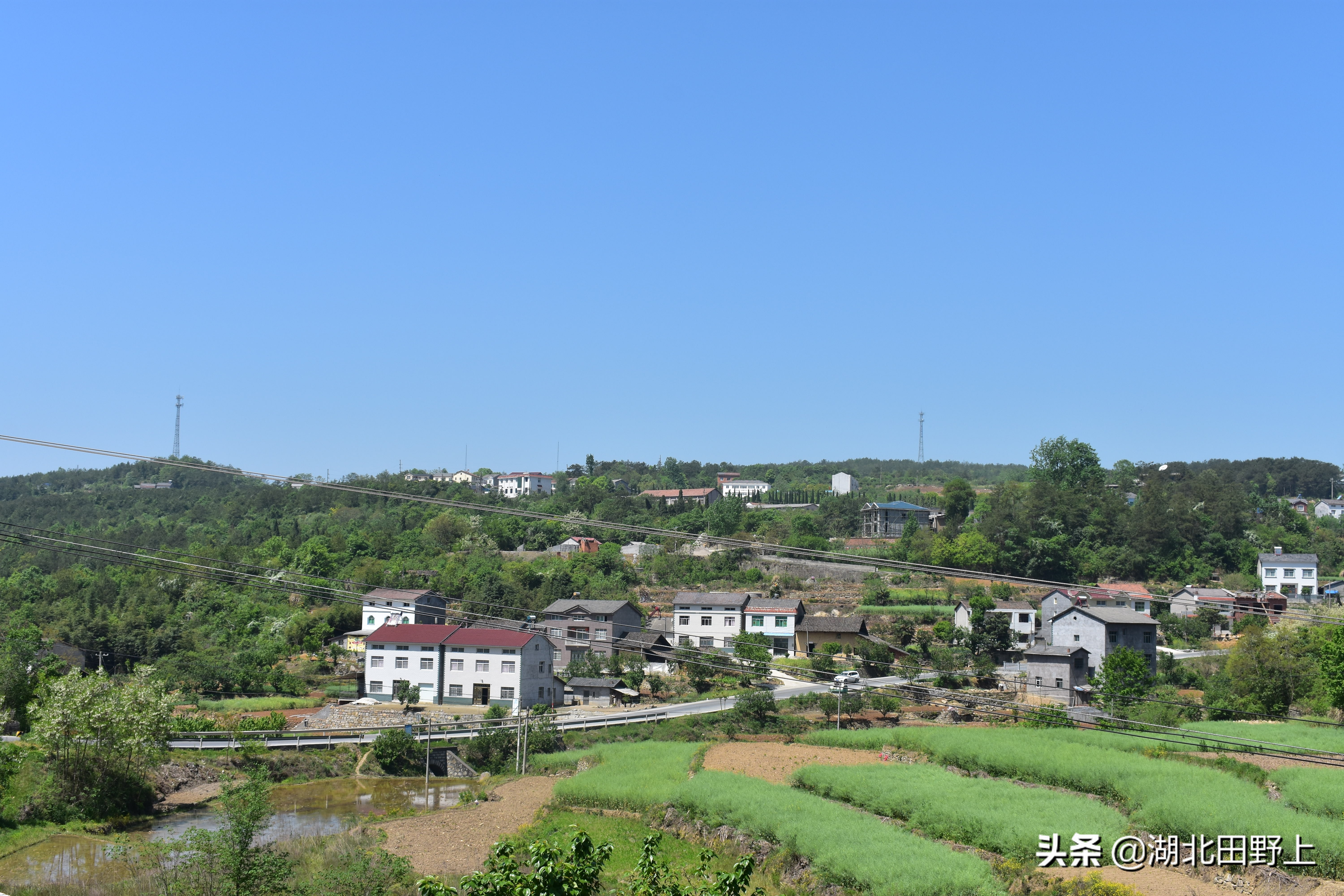 田野上团队回访美丽的分乡镇插旗村