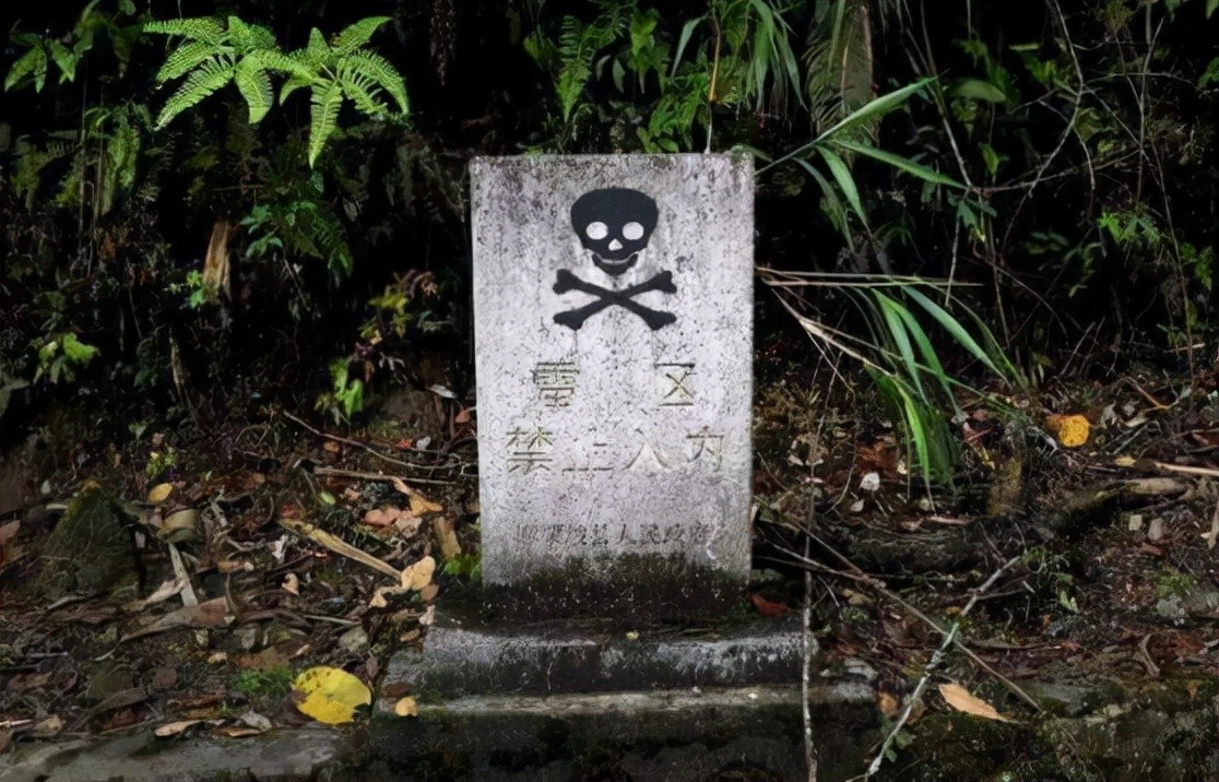 ���˽�ʮ�����ɽս�ۣ���Խ˫�������������ˣ�