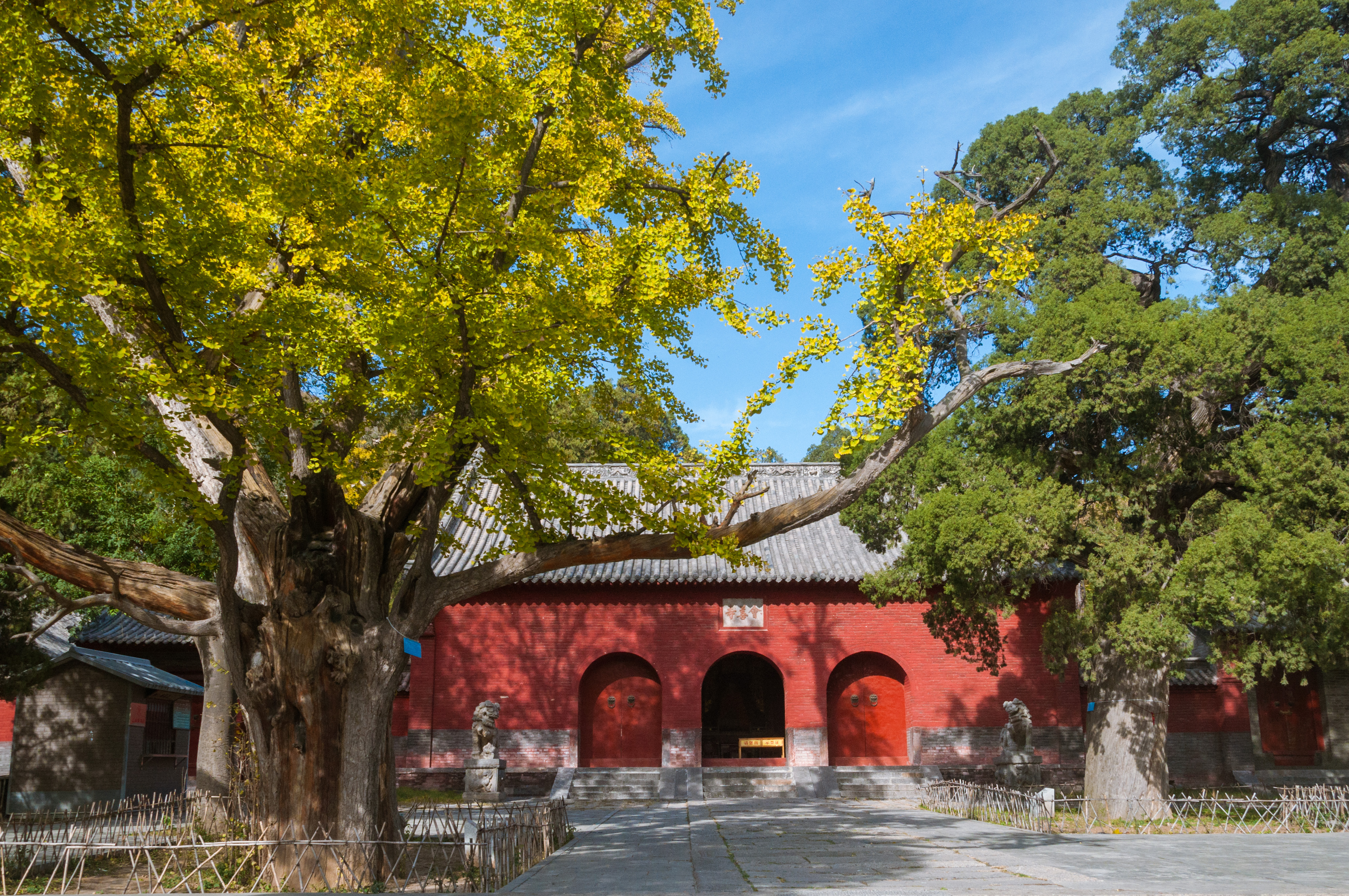 元好问在嵩山时的诗文交游