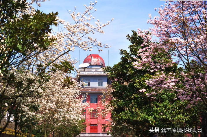 华中师范大学是985还是211学校（同样是师范类211）