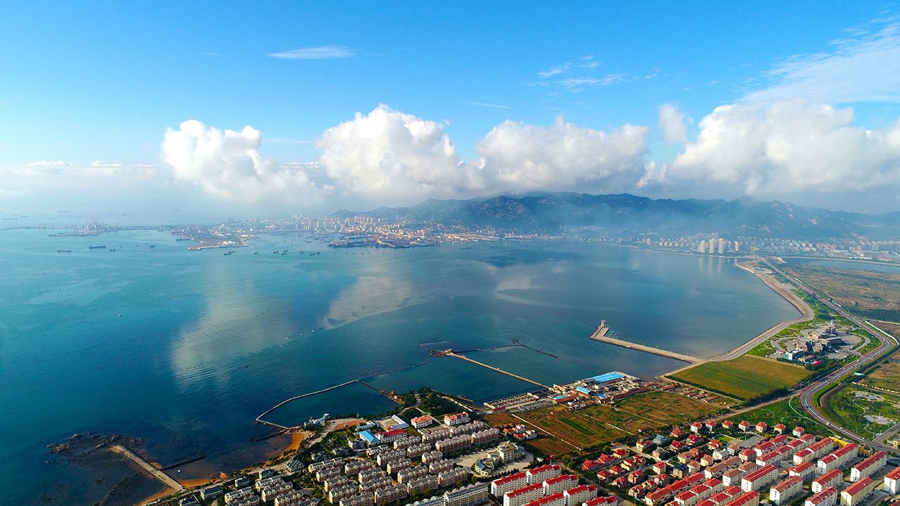 山东本科专科院校最全名单及往年录取分数线，志愿填报报考