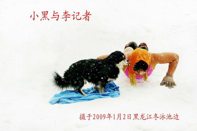 李夏燕：义犬大白 天堂走好